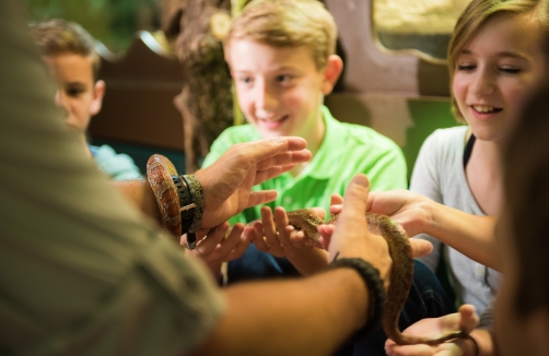 Kindergeburtstag im Haus der Natur in Salzburg