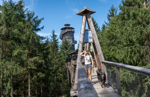 Baumkronenweg Kopfing 