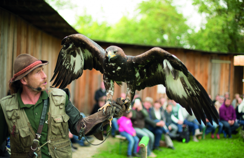 Heldenberg - Schul-/JugendAngebot – Faszinierende Tierwelt