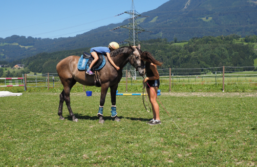 listening-horses.at
