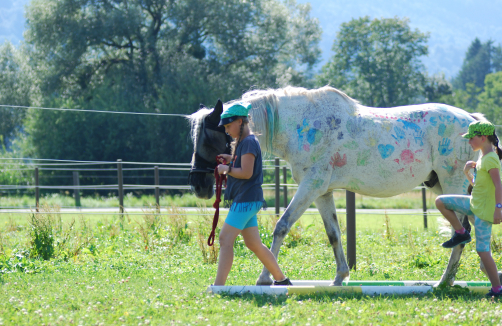 listening-horses.at