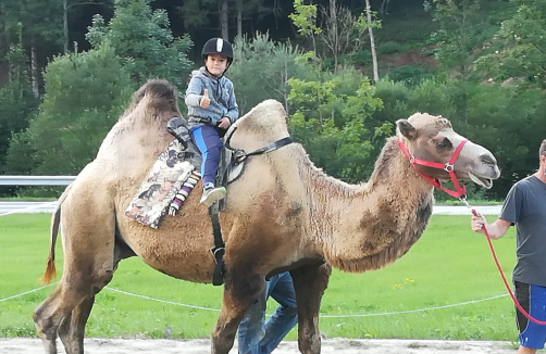 Kindergeburtstag mit Kamele, Pferde und CO am Weghof