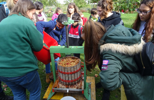 Expedition Streuobstwiese: Streuobstwiesen im Frühsommer und Herbst