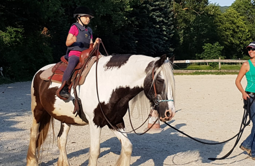 Horse and Kids Westernreiten