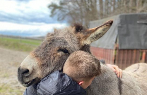  Tiere und  Natur-  Kleingruppen Workshop und Einzelstunden     6-16 Jahren           