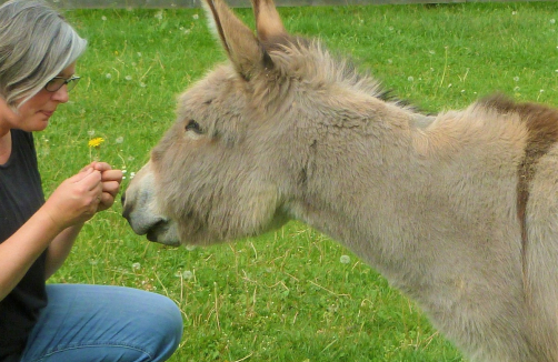  Tiere und  Natur-  Kleingruppen Workshop und Einzelstunden     6-16 Jahren           