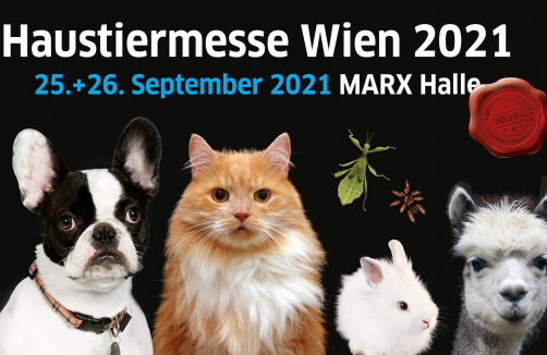 haustiermesse.info