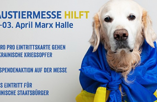 haustiermesse.info