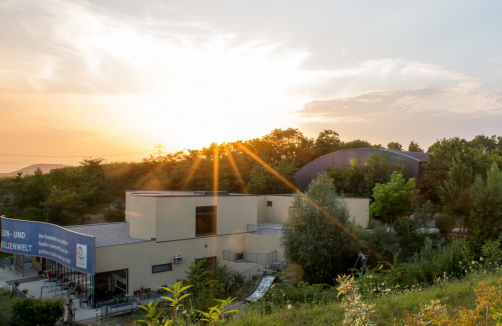 fossilienwelt.at