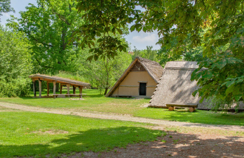 MAMUZ Schloss Asparn/Zaya