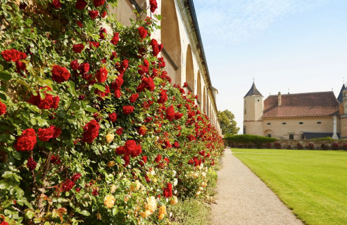 Renaissanceschloss Rosenburg