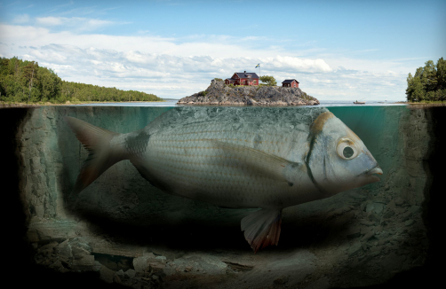 Erik Johansson