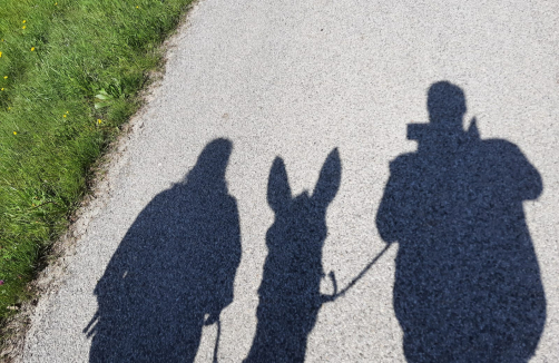 Esel-Eisheiligenwanderung