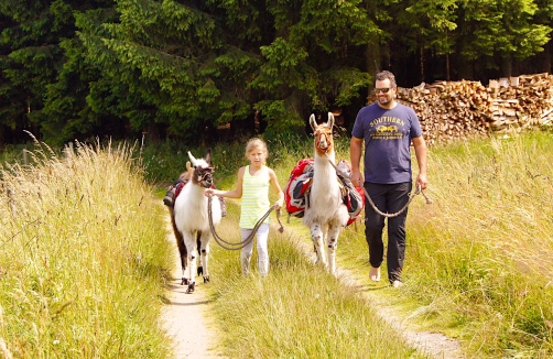 Lama-Expedition durch das Mühlviertel 