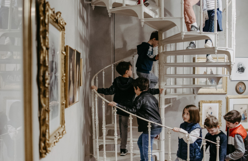 Schlossführung für Schulklassen durch das Schloss Esterházy