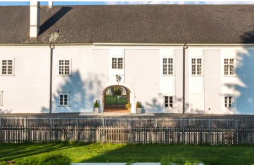 Familienführung mit Picknick im Park