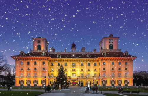 Adventmarkt im Schloss Esterházy