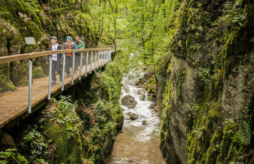 Naturerlebnis Johannesbachklamm