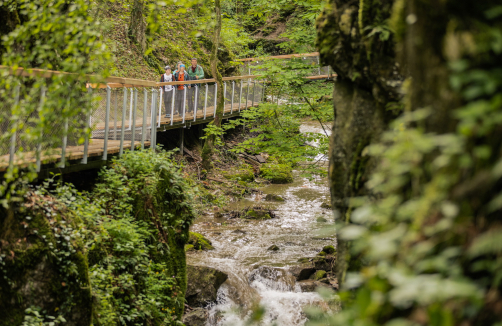 Naturerlebnis Johannesbachklamm