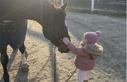 Pferdespass für Kinder
