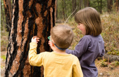 Kinder Waldbaden 