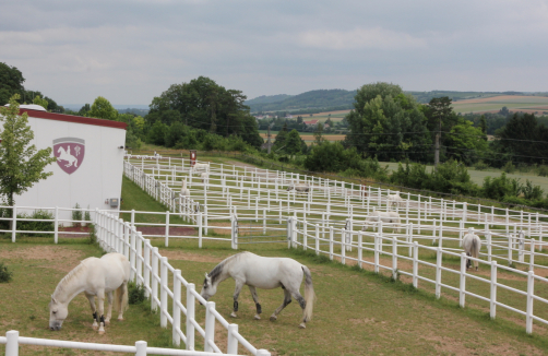 Heldenberg - Schulausflug Radetzky Gedenkstästte und Lipizzaner Trainingszentrum