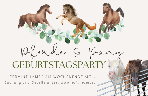Kindergeburtstag bei den Pferden und Pony's