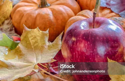 Herbstzauber trifft Bauernmarkt