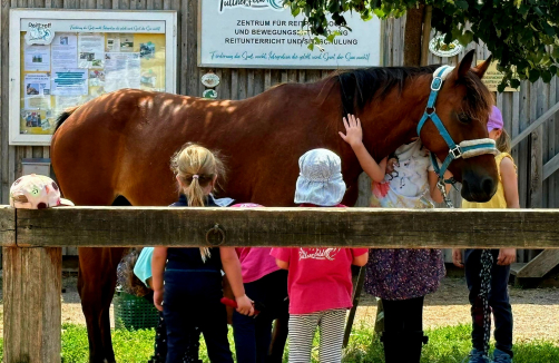 Unvergessliche Kindergeburtstagsfeiern auf dem Reittreff: Ein Erlebnis mit Ponys und Abenteuer