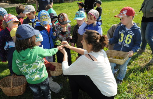 Kindergeburtstag am ADAMAH BioHof