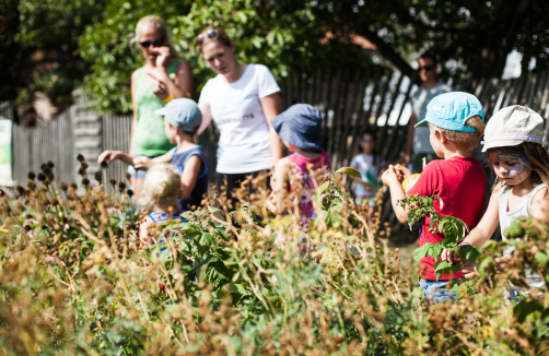 Kindergeburtstag am ADAMAH BioHof