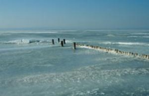 nationalpark-neusiedlersee-seewinkel.at