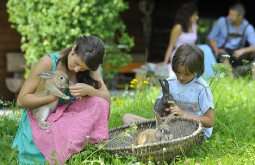 Foto: Urlaub am Bauernhof