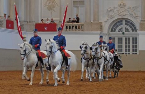 Piber meets Vienna