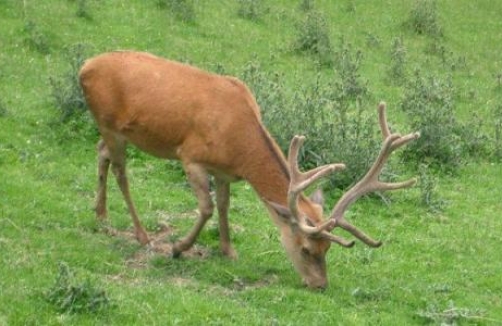 Natur erleben im Öko-Park Hochreiter