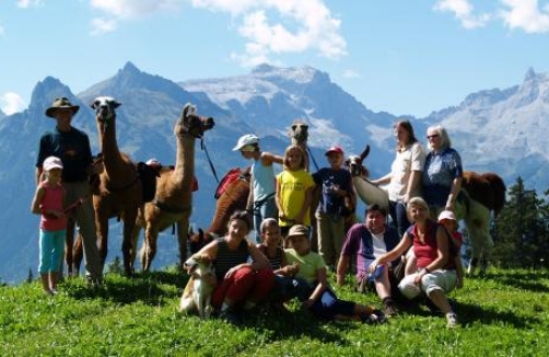 Lama-Trekking im Montafon 