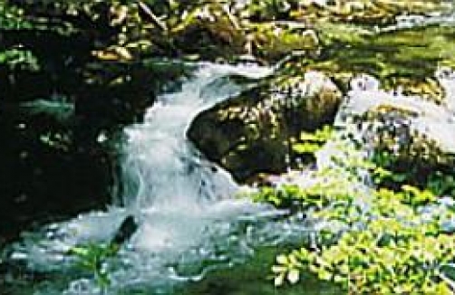 Naturzentrum Salzkammergut