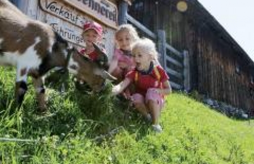 Foto: Millstätter See Tourismus GmbH