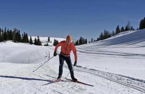 Foto: www.naturparkdobratsch.info