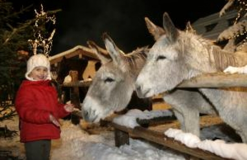 Weihnachtsmarkt auf Gut Aiderbichl in Henndorf