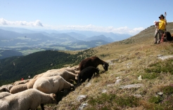 ©Naturpark Zirbitzkogel - Grebenzen