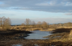 ©Foto: Land Salzburg – Naturschutzabteilung