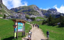 ©Rofan Seilbahn_Sommerparadies in Maurach am Achensee