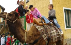 ©Kamelreiten.com