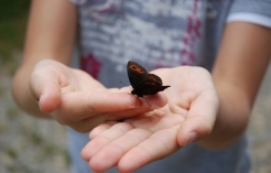 ©Waldführungen für Schulklassen im Lainzer Tiergarten