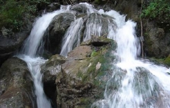 ©Die Myrafälle in Niederösterreich - Familienerlebnis beim rauschenden Wasser