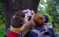 ©Schulführungen im Botanischen Garten Wien