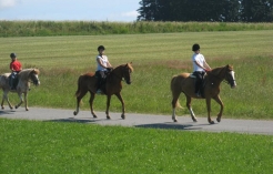 ©reiten-im-waldviertel.at