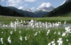 ©Foto: Naturpark Riedingtal