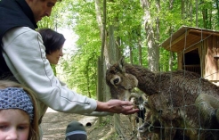 ©Schulausflug in den Tierpark Haag